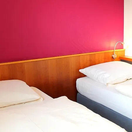 Szálloda Zum Lowen Bonn