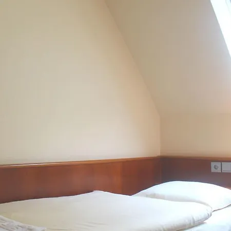 Szálloda Zum Lowen Bonn